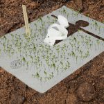 mailing op groeipapier